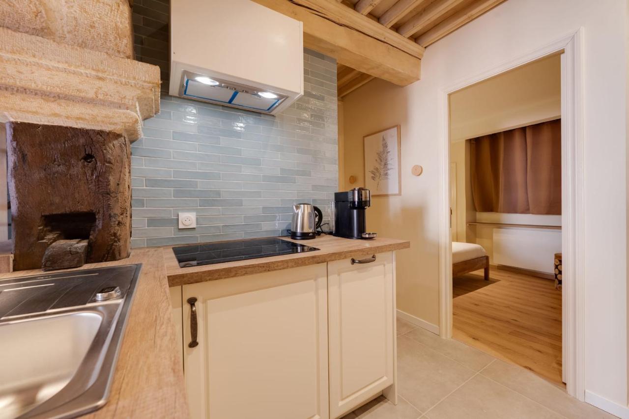 Le Balcon Perriere I - Charming Apartment With Direct View Of The Thiou Annecy Luaran gambar